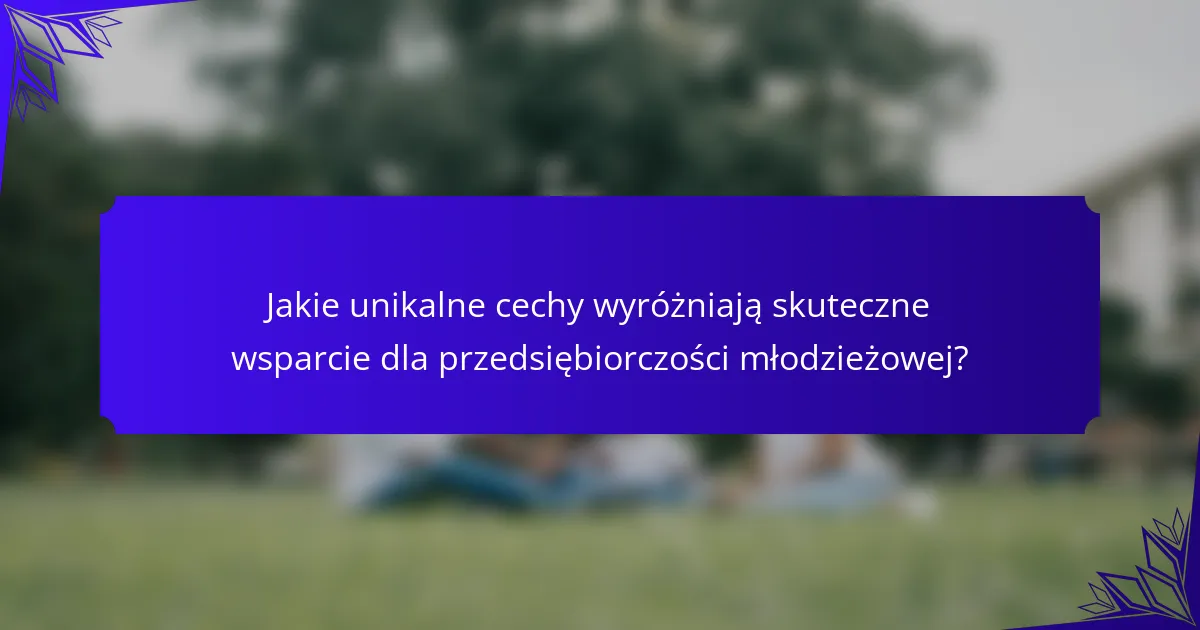 Jakie unikalne cechy wyróżniają skuteczne wsparcie dla przedsiębiorczości młodzieżowej?